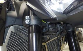 KAWASAKI Z900 2021 ZR900B