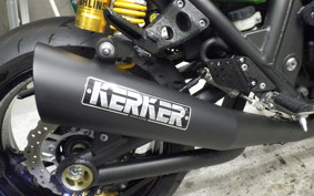KAWASAKI ZRX1200 D 2021 ZRT20D