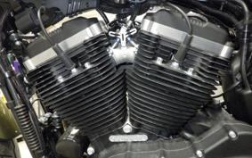 HARLEY XL883N 2017