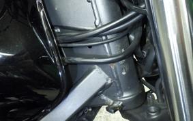 HONDA HORNET 250 MC31