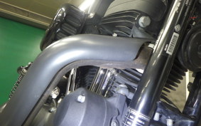 HARLEY XL1200NS 2020