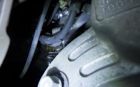 HONDA SH MODE JF51