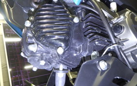 KAWASAKI Z125 PRO 2015 BR125H
