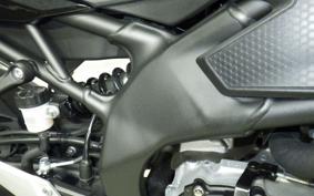 KAWASAKI ZX-4R SE 2025 ZX400P