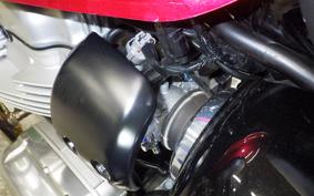KAWASAKI W800 2022 EJ800E
