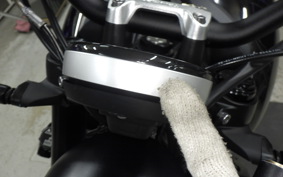 TRIUMPH TRIDENT 660 2025