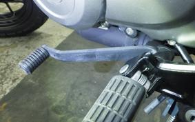 HONDA MONKEY 125 2024 JB05