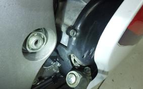YAMAHA TZR250 R SP 2023 3XV