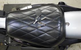 HARLEY XL1200NS 2020