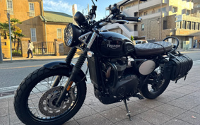 TRIUMPH SCRAMBLER 2024 DAD78G