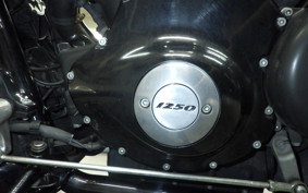 HARLEY NIGHT ROD 1250 SP 2014