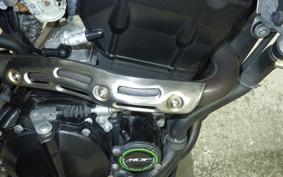 KAWASAKI KLX250D TRACKER X 2019 LX250V