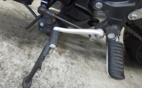 KAWASAKI Z900RS 2024 ZR900K