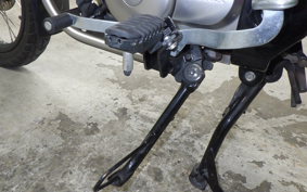HONDA CT125 HUNTER CUB 2025 JA55