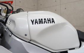 YAMAHA XSR900 GP 2025 RN96J