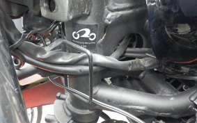 KAWASAKI NINJA 250 EX250L