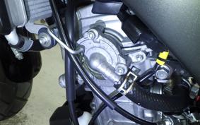 YAMAHA XSR125 2024 RE46J