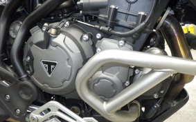 TRIUMPH TIGER 900 GT PRO 2020