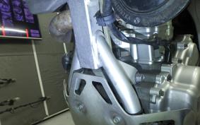 YAMAHA WR250R DG15J
