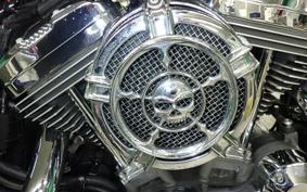 HARLEY XL1200V 2015