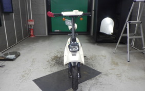 HONDA ZOOK 2024 AF26