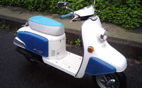 HONDA JULIO SKELETON AF52