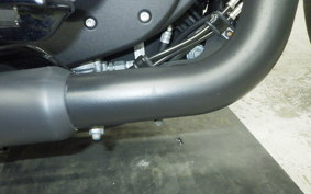 HARLEY XL1200NS 2019