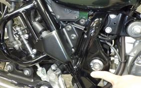 KAWASAKI W800 2020 EJ800B