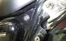 KAWASAKI W800 2022 EJ800E