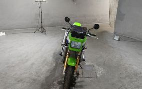 KAWASAKI ZRX1200 R 2007 ZRT20A