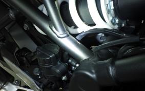 KAWASAKI Z900RS CAFE 2020 ZR900C