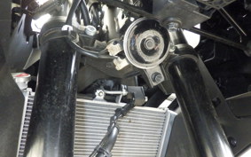 YAMAHA YZF-R25 A RG95J