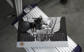 HARLEY FLTRXS1870 2020