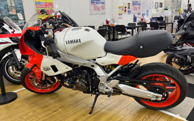 YAMAHA XSR900 GP 2025 RN96J