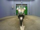 Фото Honda FORESIGHT 1997 с японского аукциона