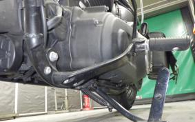 HARLEY FXBB1750 2019