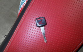 HONDA XL DEGREE MD26
