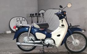 HONDA SUPER CUB110 JA44