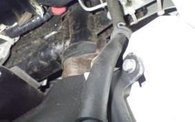 HONDA WAVE 110 2025 NF110TM