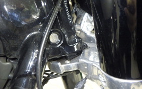 HARLEY FLSL 1750 2018