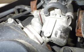 HONDA ZOOK 2006 AF26