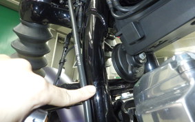 HARLEY FXBB1920 2025