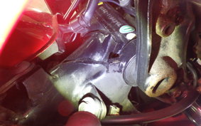 HONDA CB400 SUPER BOLDOR VTEC 2010 NC42
