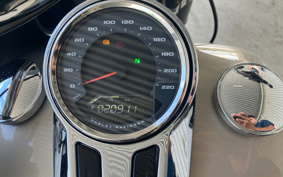 HARLEY FLSB 2019 YMJ