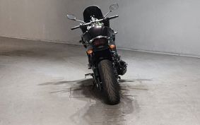 YAMAHA FZ1 FAZER 2012 RN21J