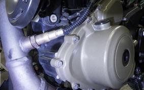 HUSQVARNA SVARTPILEN 401 2024