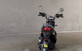 HONDA ZOOMER-X JF38