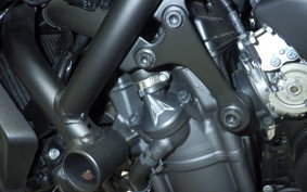 YAMAHA MT-07 2023 RM33J