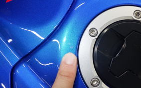 SUZUKI GSX-R1000R A 2018 DM11G
