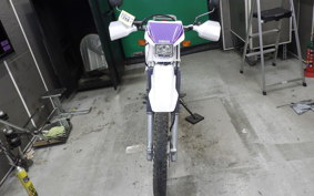 YAMAHA TT250R 2009 4GY